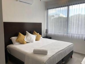 Acogedor Fast WIFI 5ta Avenida