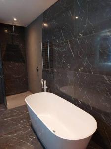 Luxury Penthouse in Brooklyn