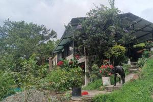 Santuario ecológico Los Ángeles