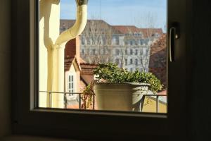 Neues Apartment im Zentrum von Graz für 2 Personen