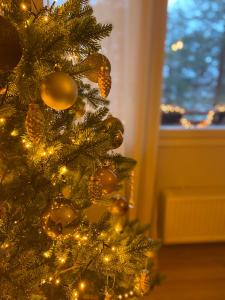 Magic Winter Forest Apartment