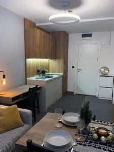 Apartman Glečer Vila Bela Reka - Brzeće