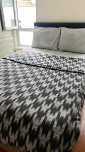 Best Central Apartment