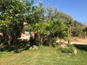 NicChia Turchese img16