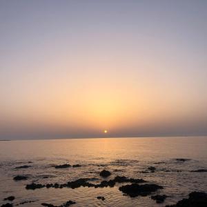 NicChia Turchese img19