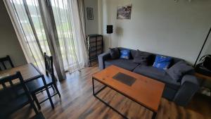 Apartment in Bakuriani Terasa 8