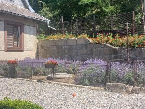 Гостьовий двір