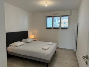 Colocation appartement terrasse XXL Port Marianne