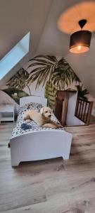Appartements Gite de France Le grand air du paradis 3 epis - Gite de France 9 personnes MAE-6464 : photos des chambres