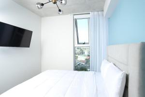 Teal at 12, City Views and Wonderland Vibes!