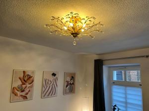 Apartment 6 Große Brüdergasse