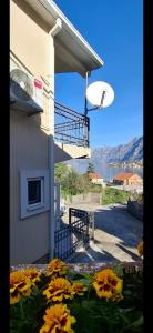 Apartment Vujosevic D&D