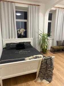 Stay Olomouc CZ - Apartment Tržnice Centrum