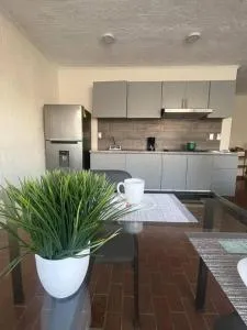 Morelos 67 Apartment - 萨莫拉-德伊达尔戈