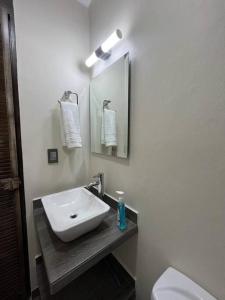 Morelos 67 Apartment