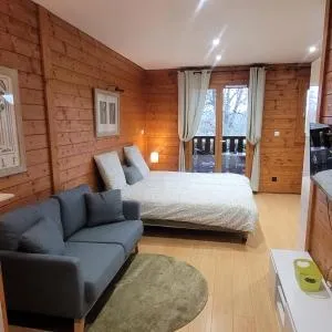 Studio cosy Jons - Jonage