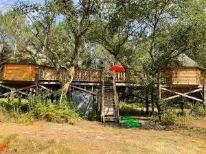 Les cabanes de la palombière - Allons