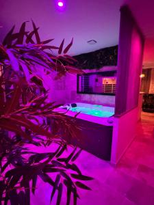 Love hotels Le boudoir suite&spa : photos des chambres