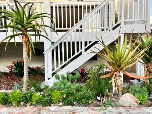 Stroll to the beach Rooibokkie Studio 2