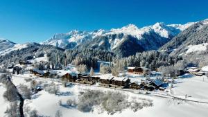 La Montagnarde avec vue imprenable - station Doucy Valmorel - 4pers