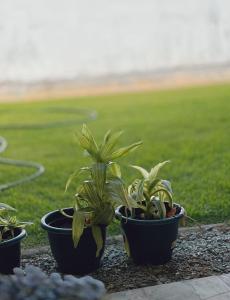 Casa Praia de Tamandaré