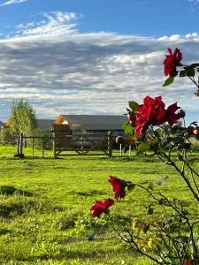 Simple Camp - 孔奇亚斯