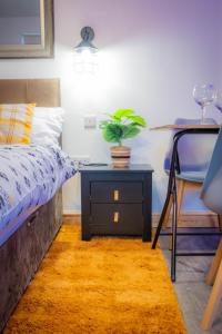 Luxury Studio - Free Parking - Great Location