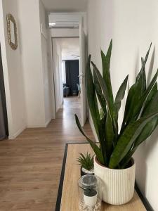 Appartements Havre de paix en appartement : photos des chambres