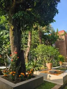 Casa limon Malinalco - مالينالكو