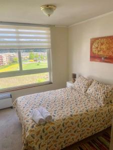 Departamento San Pedro de la Paz