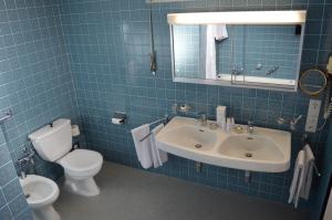 Standard Double Room with Balcony and Lake View room in Hôtel du Grand Lac Excelsior