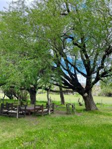 Estancia Santa Thelma