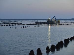 Maisons de vacances Maisonette avec Jardin Proche Plage et Piscine a La Faute-sur-Mer - FR-1-194-177 : photos des chambres