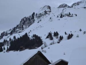 Appartements Appartement 6 pers, proche pistes & navette, parking - FR-1-467-144 : photos des chambres