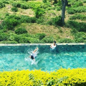 Romance Valley Haputale