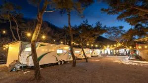 Yangpyeong Smile Caravan Pension - 杨平郡
