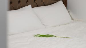 Gapyeong chaerokji Pension