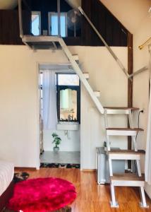 สวนเบอร์รีแคมป์ทนายจุฬา Berry Camp Korat