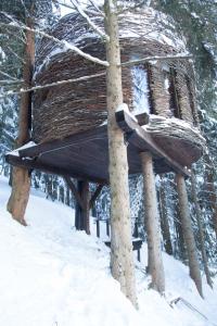 Lodges Cabane entre terre et ciel : photos des chambres