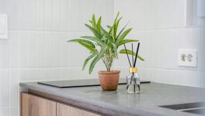 Jeju Themoon Poolvilla