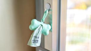 Gapyeong Ddobagi Pet & Spa Glamping