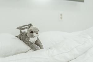 Jeju Sky Kids Pension