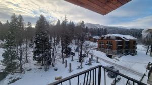 Бакуриани Кохта Вели