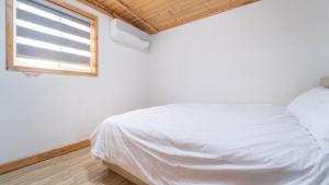 jeju bijalim pension