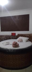 Hotel canal hum samambaia