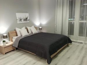 Apartmán Magnolia Apartamenty Katovice Poľsko