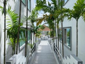 Kata Top View by Lofty