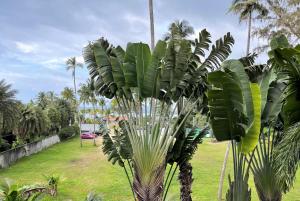 Studio at Kris Condo walk to Bangtao beach 2304