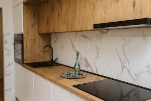 Bright, Newly Renovated Condo Near Danube River