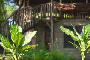 Baker & Sons Safari Company